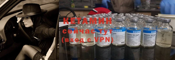 гидра Лагань