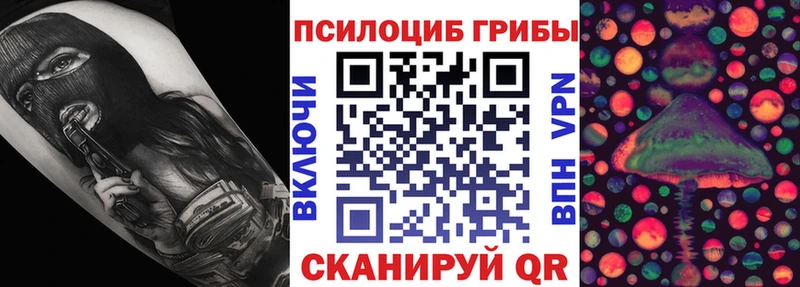 Псилоцибиновые грибы MAGIC MUSHROOMS  как найти закладки  Сусуман 
